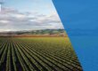 GovCon Digest- USDA's Cloud Acquisition