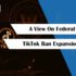 TikTok Ban Expansion