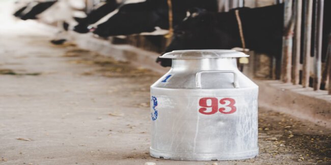 The US Dairy Industry sees strong trade deals as crucially essential