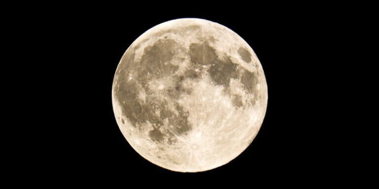 SpaceX Moon factory: Musk’s Plan to capitalize the moon