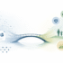 How Elsevier tools research impact storytelling Bridges the Gap Between Data and Real-World Value